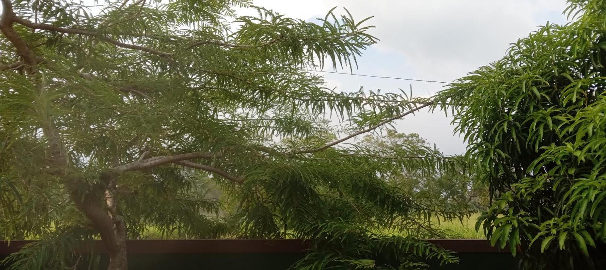 Bliss Lake, Holiday Bungalow, Thissawewa Anuradhapura Exterior foto